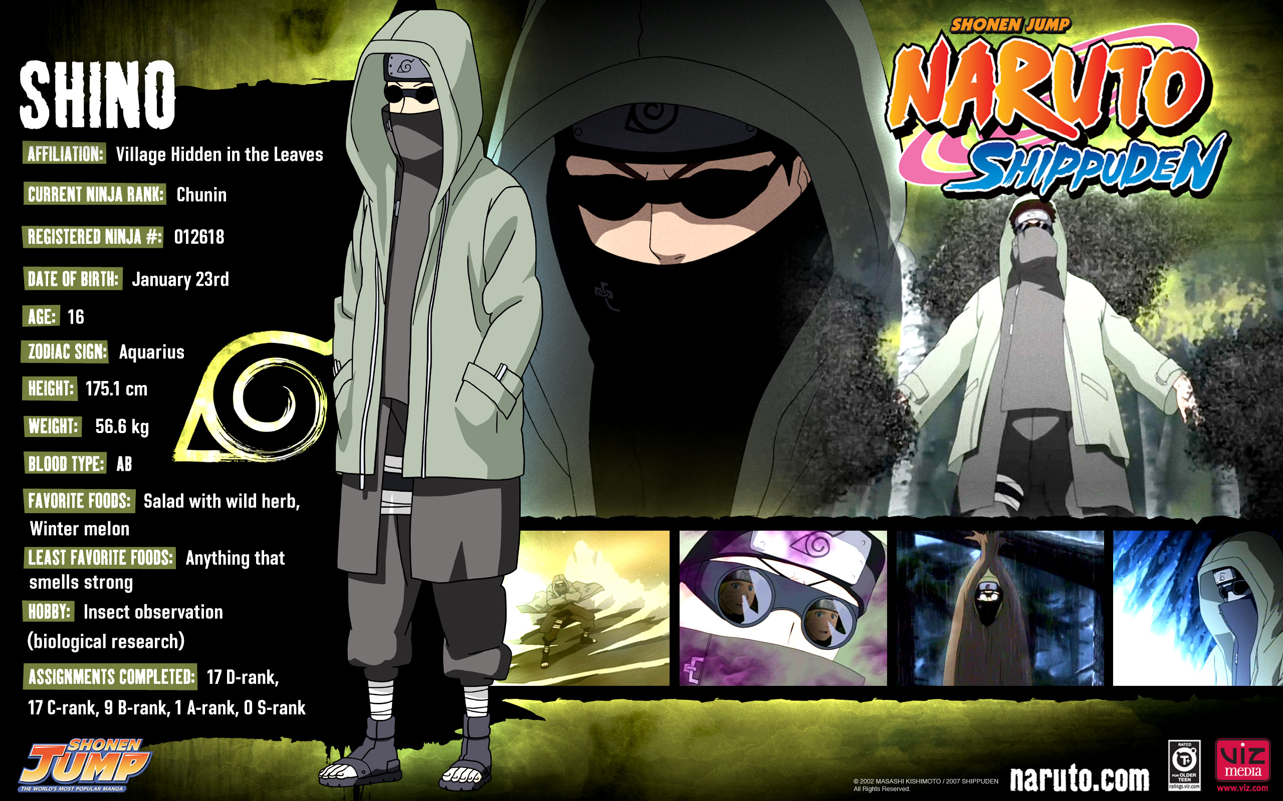 Shino 4