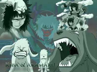 Kiba 5